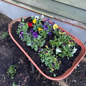 Meet your Posher, Traci